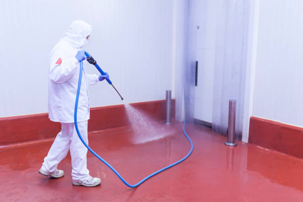 Pre-Holiday Cleaning in Spry, PA